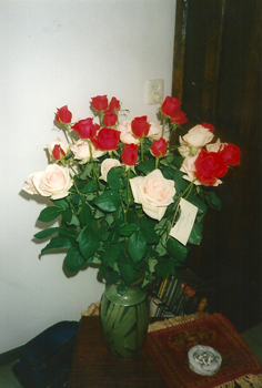 rozen